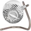 imageVornado Pivot Personal Air Circulator Fan 6inch Quiet Portable Travel Fan 3 Speeds ChampagneCopper